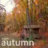 Eonic - Autumn - Single